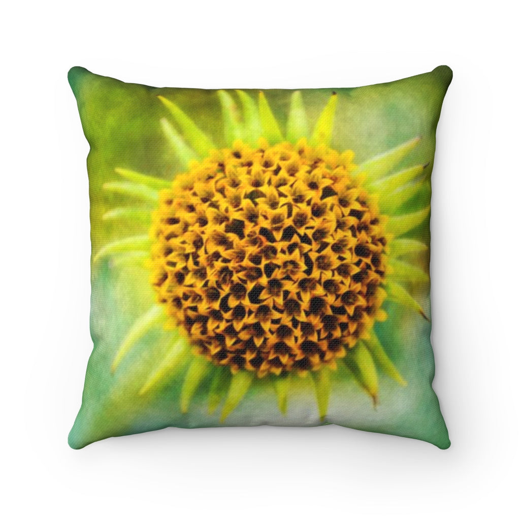 Popping Starburst Bloom Pillow