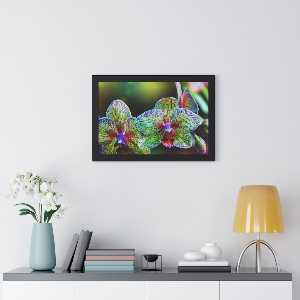 Alien Orchids Framed Poster